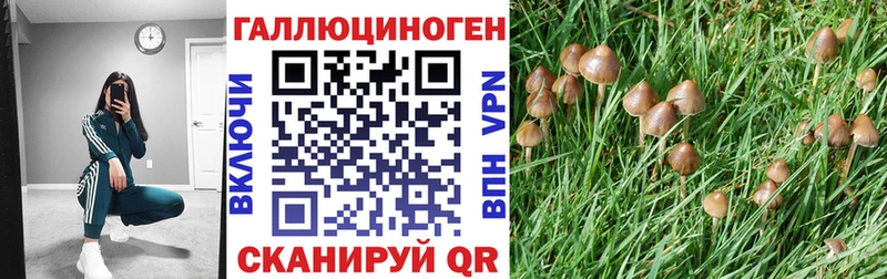 дарнет шоп  Усинск  Галлюциногенные грибы Magic Shrooms 